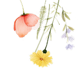 Decorative flower 2