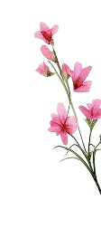 Decorative flower 5
