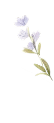 Decorative flower 6